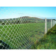 China Supplier Chain Link Fence